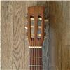 Image 2 : Giannini Guitar