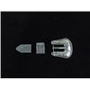 Image 2 : Silver Ranger Buckle Set