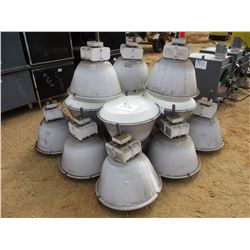 MISC OVERHEAD LIGHT FIXURE