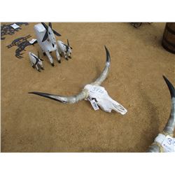 LONG HORN SKULL