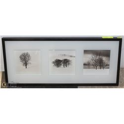WOOD SHADOWBOX FRAMED PICTURES - TREE