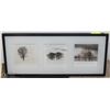 Image 1 : WOOD SHADOWBOX FRAMED PICTURES - TREE