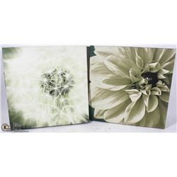 2 CANVAS PICTURES