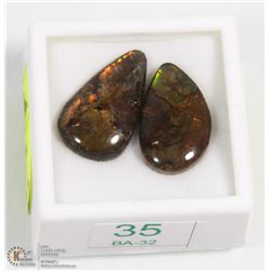 35) PAIR OF GENUINE CANADIAN AMMOLITE GEMSTONES