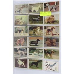 18 VINTAGE DOGS TRADING CARDS.