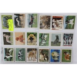 18 VINTAGE DOG COLLECTOR CARDS.
