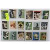 Image 1 : 18 VINTAGE DOG COLLECTOR CARDS.
