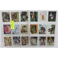 18 VINTAGE ANIMAL TRADING CARDS.