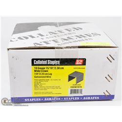 CASE OF COLLATED STAPLES