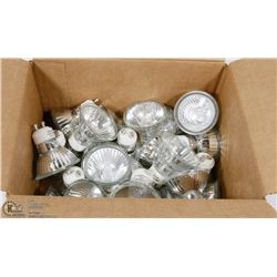 BOX OF 24 HALOGEN BULBS - 120V/50W