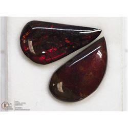 31) GENUINE CANADIAN AMMOLITE GEMSTONES