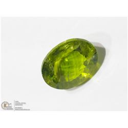 38) GENUINE LARGE SIZED PERIDOT GEMSTONE