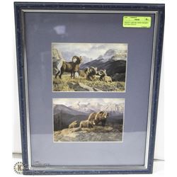 GRIZZLY AND BIG HORN FRAMED AND MATTED BY