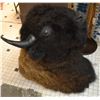 Image 1 : Bison Mount