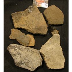 (8) Pre-Columbian Pottery Shards and a flaked piece of black Obsidian, various types and ages.