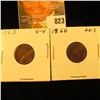 Image 1 : 1865 & 1866 U.S. Indian Head Cents.