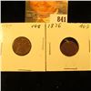 Image 1 : 1875 & 1876 U.S. Indian Head Cents.