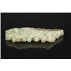 Image 5 : Fine White Jade Carved Fu Mouse with Grapes