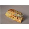 Image 4 : Chinese Jade Carving of Cicada on Log