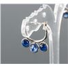 Image 4 : Set of Tanzanite Ring & Sapphire Earrings