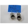 Image 2 : STERLING SILVER BLACK ONYX EARRINGS, STERLING SILVER RUBY-CHIP EYE LIZARD PIN