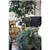 Image 1 : 2 ARTIFICIAL TREES