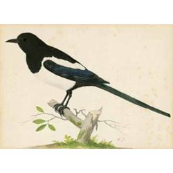 PIETER HOLSTEIJN DER ÄLTERE Haarlem 1580/90 - 1662 (?)