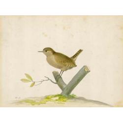 PIETER HOLSTEIJN DER ÄLTERE Haarlem 1580/90 - 1662 (?)