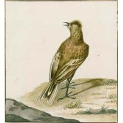 PIETER HOLSTEIJN DER ÄLTERE - Umkreis 