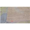 Image 2 : Area Rug, Natural Fiber, Approx 145" X 178", Shows signs of wear, discoloration, no holes