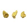 Lot of (3) Gold Nuggets 2.2 grams Total Weight