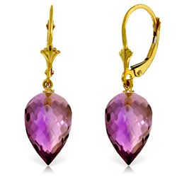 Genuine 19 ctw Amethyst Earrings Jewelry 14KT Yellow Gold - REF-35N9R