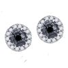 0.20 CTW Black Color Diamond Stud Screwback Earrings 10KT White Gold - REF-12X8Y