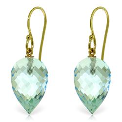 Genuine 22.5 ctw Blue Topaz Earrings Jewelry 14KT Yellow Gold - REF-44K5V