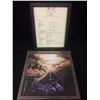 Image 1 : JACKSON BROWNE AUTOGRAPHED LETTER OF CONFIRMATION (MCP PROMOTIONS LIMITED)