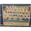 Image 3 : 1959 CHICAGO WHITE SOX DISPLAY W/ TEAM TRADING CARDS