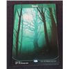 Image 1 : MTG Unstable Full Art Forest