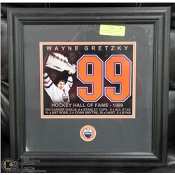 WAYNE GRETZKY FRAMED PICTURE HALL OF FAME WITH