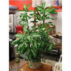 LARGE SILK HOUSEPLANT 5FT