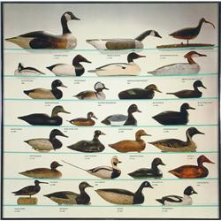 Duck Decoy Poster
