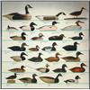 Image 1 : Duck Decoy Poster