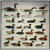 Image 2 : Duck Decoy Poster