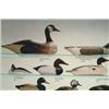 Image 3 : Duck Decoy Poster