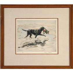 Retriever with Mallard