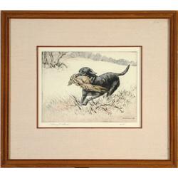 Retriever with Pheasant