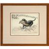 Image 1 : Retriever with Pheasant