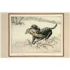 Image 2 : Retriever with Pheasant