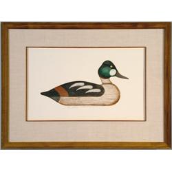 Goldeneye Drake Decoy, Tom River New Jersey 