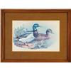 Image 1 : Mallard Ducks