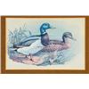 Image 2 : Mallard Ducks